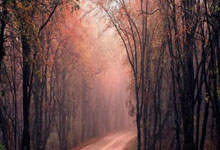 黑白体育官网：镰田大地：沙特不是来争取分的，他们收缩防守让比赛很困难.