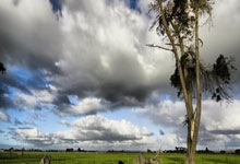 黑白体育官网：英超-热苏斯双响赖斯传射 阿森纳5-1大胜水晶宫央视网.