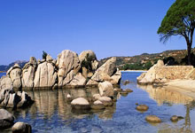 一见·从冬奥到亚冬，感受“冰雪热”的发展力人民日报客户端.